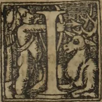 An illustration from The castel of helth corrected and in some places augmented (1541)