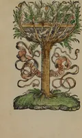 An illustration from Marsilii Ficini Florentini medici atq[ue] philosophi celeberrimi, de vita libri tres, recens iam à mendis sitúq[ue] uindicati : qvorvm primus, de studiosorum sanitate tuenda ; secundus, de vita producenda ; tertius, de vita coelitus comparanda ; apologia ; his accessit eiusdem epidemiarum antidotus, tutelae quoq[ue] bonae ualetudinis attinens ; cum omnium nouo rerum atque indice (1529)
