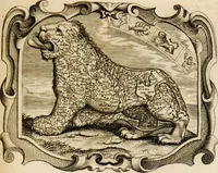 An illustration from Imago primi saeculi Societatis Iesu (1640)