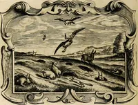 Picture 119 of 130 from Imago primi saeculi Societatis Iesu (1640), leaf 952