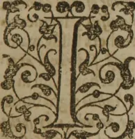 An illustration from The anatomy of melancholy : vvhat it is ; vvith all the kindes, causes, symptomes, prognosticks, and seuerall cures of it ; in three maine partitions, with their seuerall sections, members, and subsections ; philosophically, medicinally, historically opened and cut vp (1624)