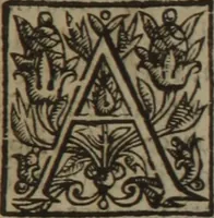 An illustration from The optick glasse of humors or The touchstone of a golden temperature, or the Philosophers stone to make a golden temper : wherein the foure complections sanguine, cholericke, phligmaticke, melancholicke are succinctly painted forth and their externall intimates laid open to the purblind eye of ignorance it selfe, by which euery one may iudge, of what complection he is, and answerably learne what is most sutable to his nature (1639)
