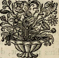 Picture 5 of 92 from Sacrum sanctuarium crucis et patientiae crucifixorum et cruciferorum, emblematicis imaginibus laborantium et aegrotantium ornatum: artifices gloriosi nouae artis bene viuendi et moriendi secundum rationem regulae et circini (1634), leaf 16