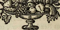 An illustration from Sacrum sanctuarium crucis et patientiae crucifixorum et cruciferorum, emblematicis imaginibus laborantium et aegrotantium ornatum: artifices gloriosi nouae artis bene viuendi et moriendi secundum rationem regulae et circini (1634)