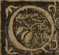 An illustration from Verdadera medicina, cirugia, y astrologia : en tres libros dividida (1607)