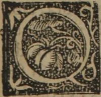 An illustration from Verdadera medicina, cirugia, y astrologia : en tres libros dividida (1607)
