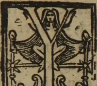 An illustration from Verdadera medicina, cirugia, y astrologia : en tres libros dividida (1607)
