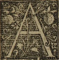 An illustration from Verdadera medicina, cirugia, y astrologia : en tres libros dividida (1607)