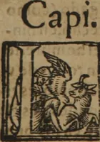 An illustration from Verdadera medicina, cirugia, y astrologia : en tres libros dividida (1607)
