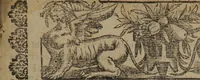 An illustration from Verdadera medicina, cirugia, y astrologia : en tres libros dividida (1607)