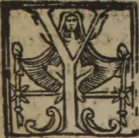 An illustration from Verdadera medicina, cirugia, y astrologia : en tres libros dividida (1607)