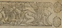 An illustration from Verdadera medicina, cirugia, y astrologia : en tres libros dividida (1607)