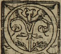 An illustration from Verdadera medicina, cirugia, y astrologia : en tres libros dividida (1607)