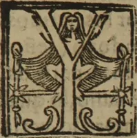 An illustration from Verdadera medicina, cirugia, y astrologia : en tres libros dividida (1607)