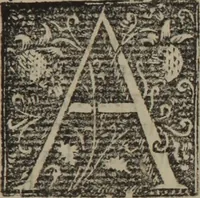 An illustration from Verdadera medicina, cirugia, y astrologia : en tres libros dividida (1607)