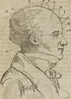 Picture 3 of 6 from Manual of phrenology, or The physiology of the human brain : embracing a full description of the phrenological organs, their exact location, and the peculiarities of character produced by their various degrees of development and combination (1839), leaf 154