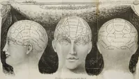 An illustration from Manual of phrenology, or The physiology of the human brain : embracing a full description of the phrenological organs, their exact location, and the peculiarities of character produced by their various degrees of development and combination (1839)