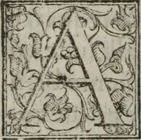 An illustration from Tratado breve de medicina y de todas las enfermedades : (1610)