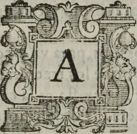 Picture 48 of 81 from Tratado breve de medicina y de todas las enfermedades : (1610), leaf 263
