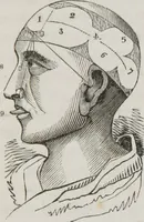 An illustration from History and progress of phrenology : (read before the Western Phrenological Society, at Buffalo) (1839)