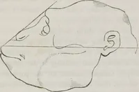 An illustration from History and progress of phrenology : (read before the Western Phrenological Society, at Buffalo) (1839)