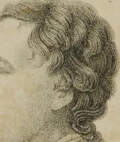 An illustration from The pocket Lavater, or, The science of physiognomy : to which is added, an inquiry into the analogy existing between brute and human physiognomy, from the Italian of Porta : embellished with 44 copperplate heads (1817)