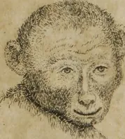 Picture 15 of 19 from The pocket Lavater, or, The science of physiognomy : to which is added, an inquiry into the analogy existing between brute and human physiognomy, from the Italian of Porta : embellished with 44 copperplate heads (1817), leaf 189