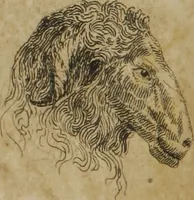 Picture 19 of 19 from The pocket Lavater, or, The science of physiognomy : to which is added, an inquiry into the analogy existing between brute and human physiognomy, from the Italian of Porta : embellished with 44 copperplate heads (1817), leaf 197