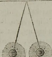 An illustration from A new physical system of astronomy : an attempt to explain the operations of the powers which impel the planets and comets to perform eliptical revolutions round the sun, and revolve on their own axis : in which, the physical system of Sir Isaac Newton, is examined, and presumed to be refuted ; to which is annexed, a physiological treatise ; in which the first stage of animation is considered, and the means shewn, by which circulation is performed in the first rudiments of the incipient animal, before the vessels are completely organized, &c. ; together with an explanation of the general laws, by which the animal economy is governed ; and particularly, the mode whereby the operations of the vis medicatrix naturae, or the unassisted powers of nature, are exerted to obviate and cure disease ; also, successful methods of curing cancerous ulcers, the quartan ague, putrid fevers, stopping mortifications, and extracting frost, so as to leave the frozen member perfectly well (1800)