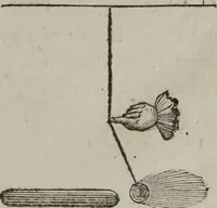 An illustration from A new physical system of astronomy : an attempt to explain the operations of the powers which impel the planets and comets to perform eliptical revolutions round the sun, and revolve on their own axis : in which, the physical system of Sir Isaac Newton, is examined, and presumed to be refuted ; to which is annexed, a physiological treatise ; in which the first stage of animation is considered, and the means shewn, by which circulation is performed in the first rudiments of the incipient animal, before the vessels are completely organized, &c. ; together with an explanation of the general laws, by which the animal economy is governed ; and particularly, the mode whereby the operations of the vis medicatrix naturae, or the unassisted powers of nature, are exerted to obviate and cure disease ; also, successful methods of curing cancerous ulcers, the quartan ague, putrid fevers, stopping mortifications, and extracting frost, so as to leave the frozen member perfectly well (1800)