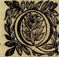 An illustration from Villa Borghese fuori di Porta Pinciana (1650)