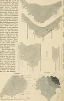 An illustration from An encyclopaedia of architecture, historical, theoretical, & practical. New ed., rev., portions rewritten, and with additions by Wyatt Papworth (1888)