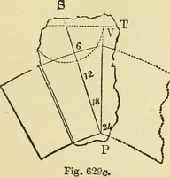 An illustration from An encyclopaedia of architecture, historical, theoretical, & practical. New ed., rev., portions rewritten, and with additions by Wyatt Papworth (1888)