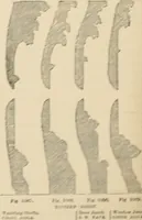 An illustration from An encyclopaedia of architecture, historical, theoretical, & practical. New ed., rev., portions rewritten, and with additions by Wyatt Papworth (1888)