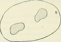 An illustration from The mathematical theory of electricity and magnetism (1911)