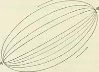 Picture 72 of 88 from The mathematical theory of electricity and magnetism (1911), leaf 397