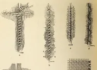 Picture 8 of 11 from Archaeological explorations in Peru (1926), leaf 311