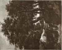 An illustration from Illustrated catalogue of 300 paintings by old masters of the Dutch, Flemish, Italian, French and English schools : being some of the part principal pictures which have at various times formed part of the Sedelmeyer Gallery (1898)