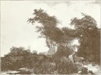 Picture 157 of 279 from Illustrated catalogue of 300 paintings by old masters of the Dutch, Flemish, Italian, French and English schools : being some of the part principal pictures which have at various times formed part of the Sedelmeyer Gallery (1898), leaf 212