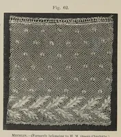 Picture 7 of 16 from History of lace (1902), leaf 228