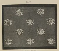 Picture 9 of 16 from History of lace (1902), leaf 327
