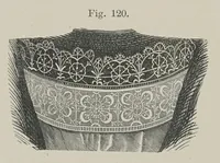 An illustration from History of lace (1902)