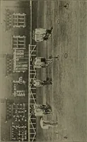 Picture 13 of 46 from 325 group contests for the army, navy, and school (1918), leaf 45