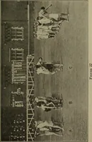 Picture 26 of 46 from 325 group contests for the army, navy, and school (1918), leaf 80
