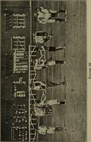Picture 28 of 46 from 325 group contests for the army, navy, and school (1918), leaf 84