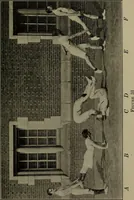 Picture 30 of 46 from 325 group contests for the army, navy, and school (1918), leaf 88