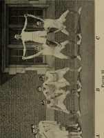 Picture 34 of 46 from 325 group contests for the army, navy, and school (1918), leaf 92