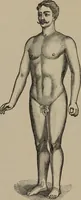 An illustration from The science of facial expression : the new system of diagnosis, based on original researches and discoveries (1917)