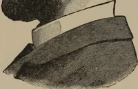 Picture 20 of 45 from The science of facial expression : the new system of diagnosis, based on original researches and discoveries (1917), leaf 43