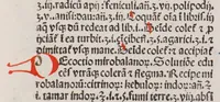 An illustration from Opera medicinalia : cum additionibus Francisci Pedemontani